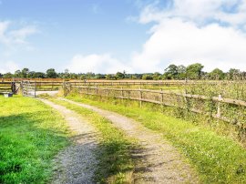 Plemstall Lane, Mickle Trafford, Chester thumb 3