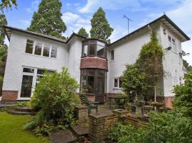Pine Tree Avenue, Leicester thumb 3