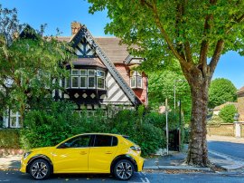 West Lodge Avenue, London photo