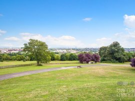 Muswell Hill, Muswell Hill photo