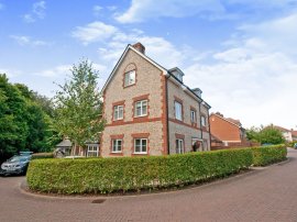 Buckle Gardens, Hellingly, Hailsham photo