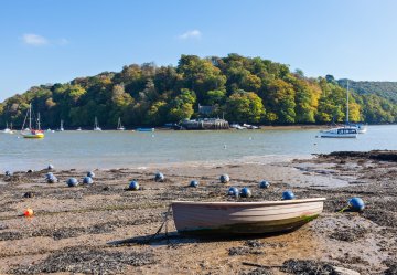 Discover Dittisham: Riverside Charm and Refined Living 
