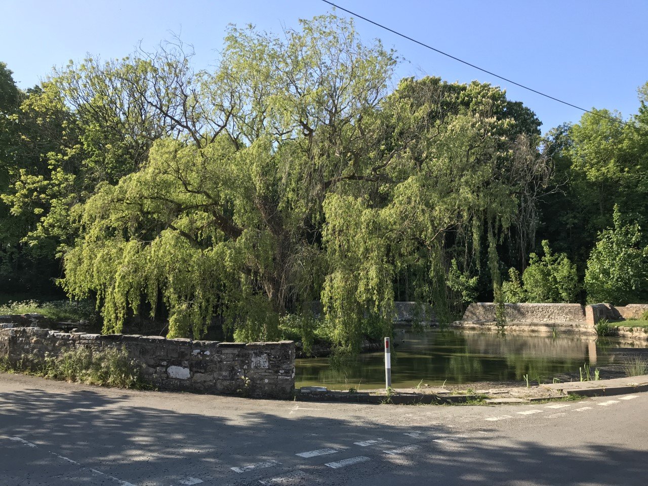 Chris Davies Estate & Letting Agents in Llantwit Major, The Vale of