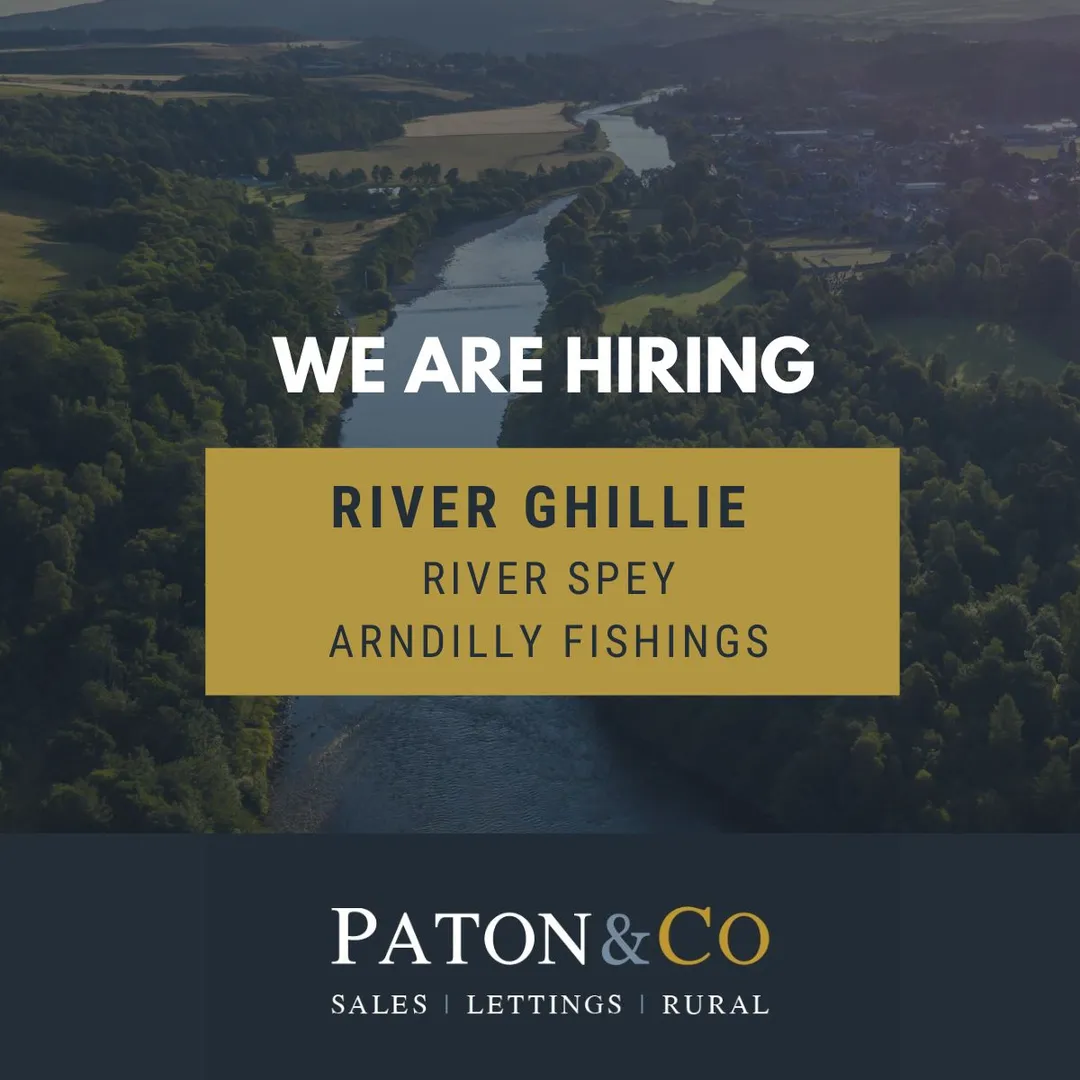 https://mr2.homeflow-assets.co.uk/files/media/image/0000/0000/1a4cf285040715401081780f74a1671d/RiverGhillie.jpg