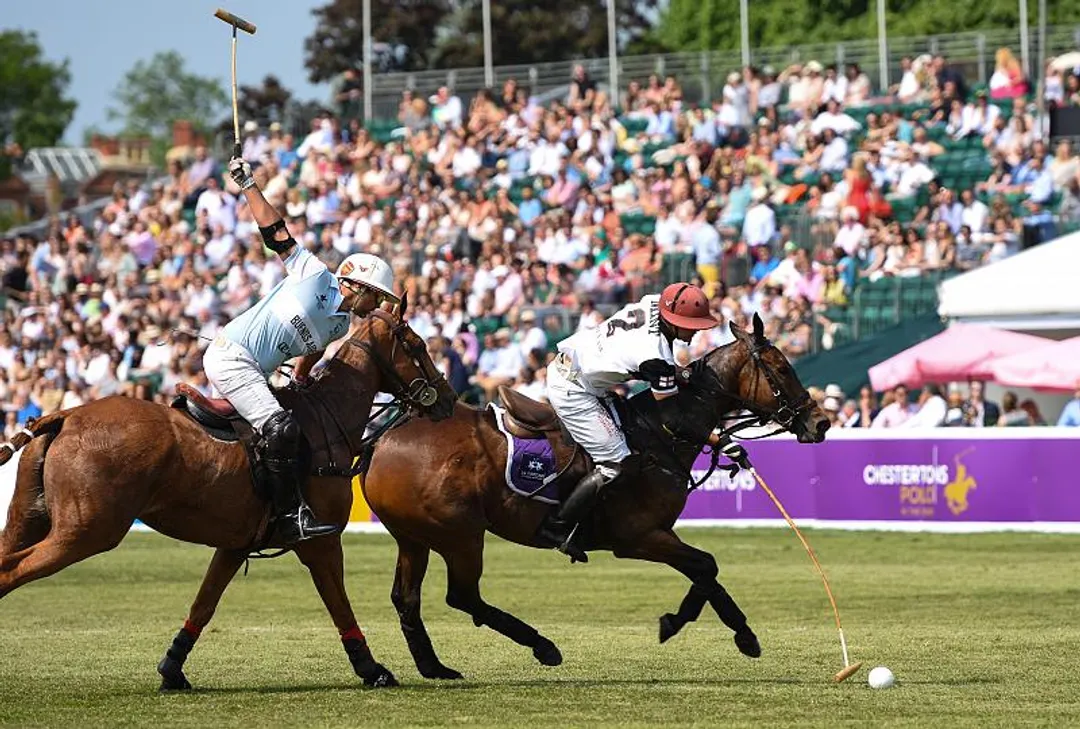 Chestertons_Polo_800x600.jpg