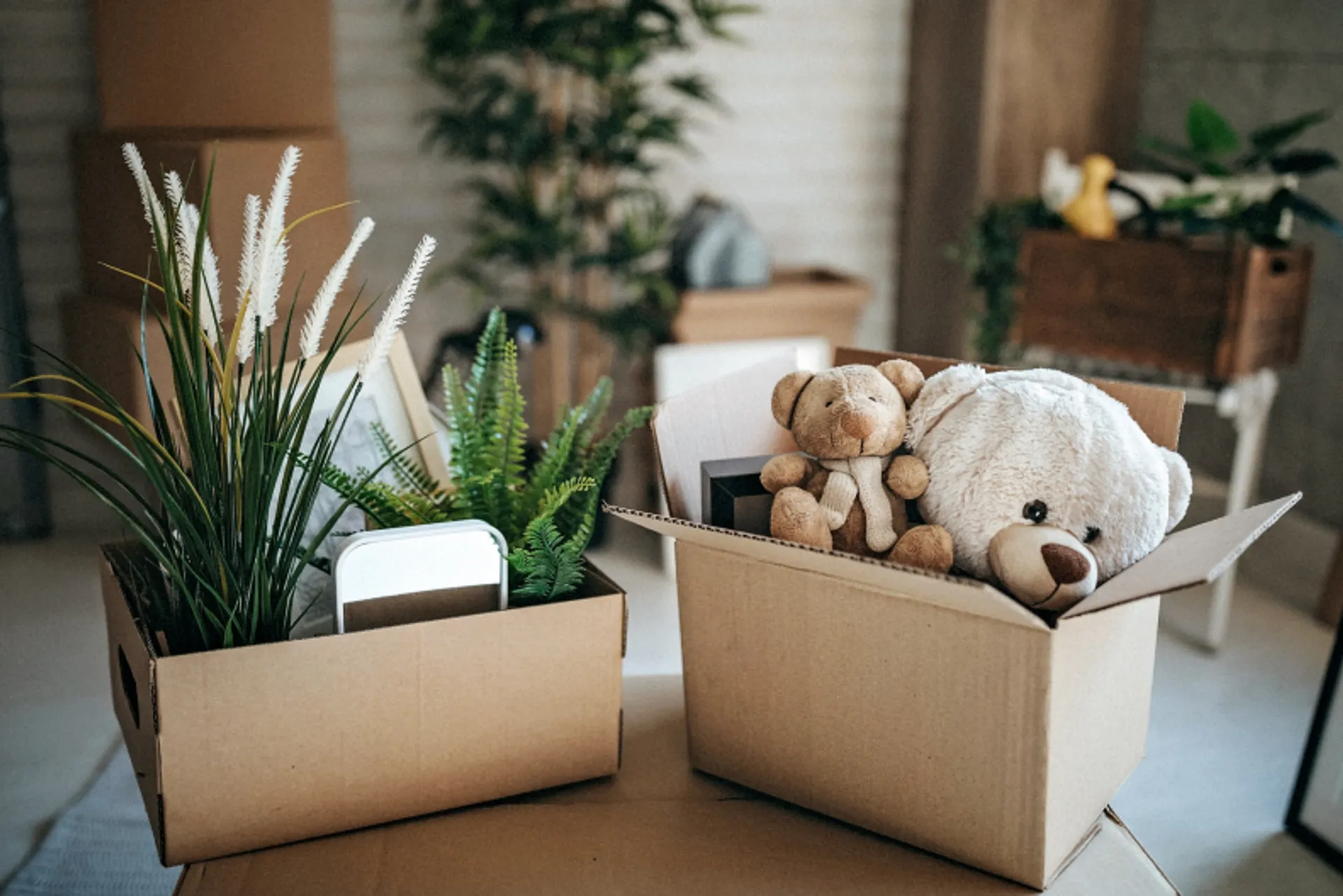 https://mr2.homeflow-assets.co.uk/files/media/image/0000/0000/1dd55ec02d25fbab49a85ea9d2da16df/job-relocation.png