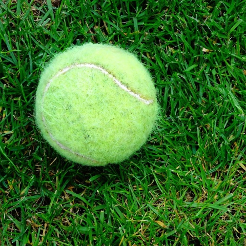 https://mr2.homeflow-assets.co.uk/files/media/image/0000/0000/2f16a182a31436e9ff0afbe7ebf36a66/Tennis(Small).jpg
