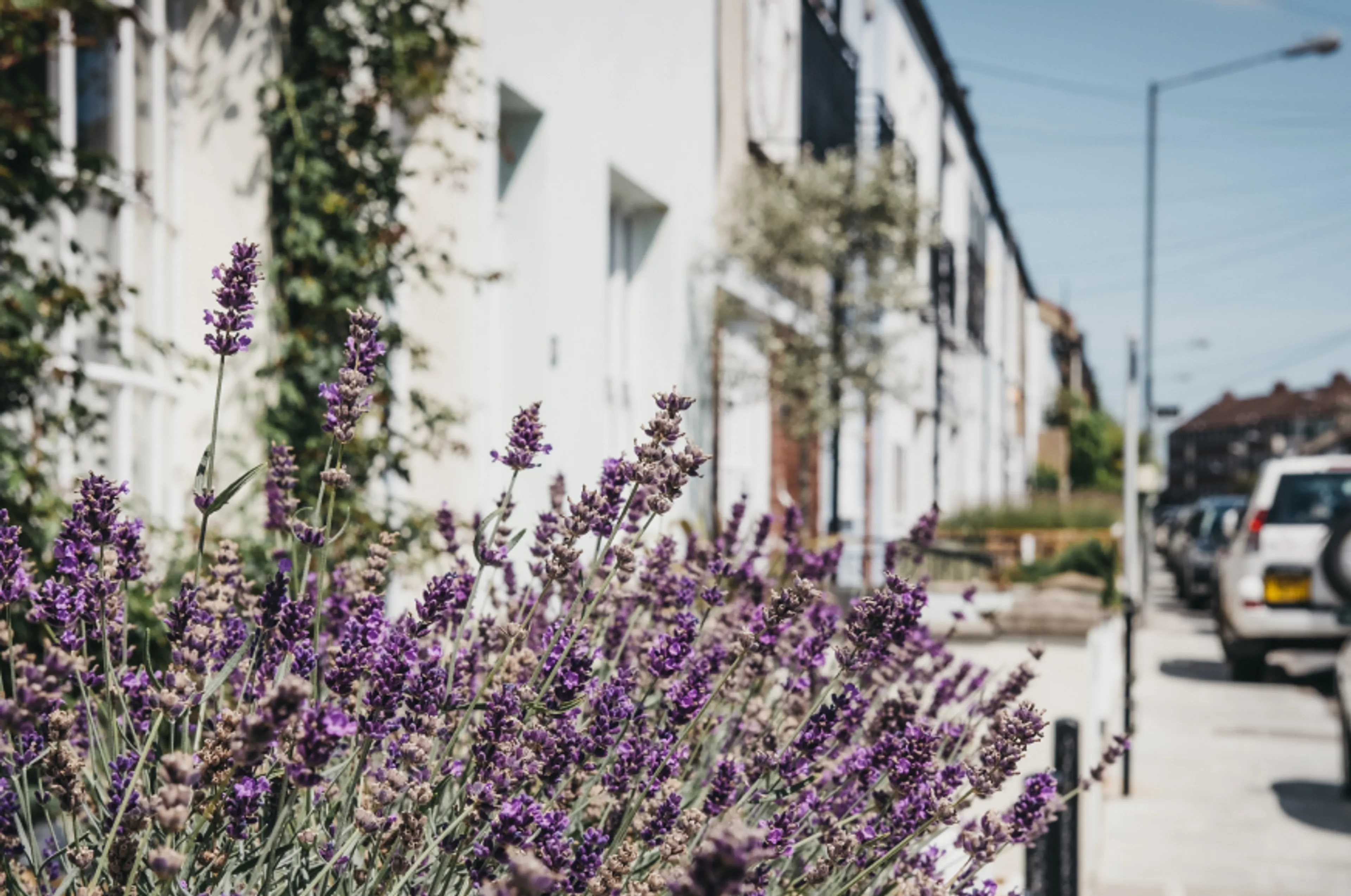 874x580-NorthBarnes2.jpg