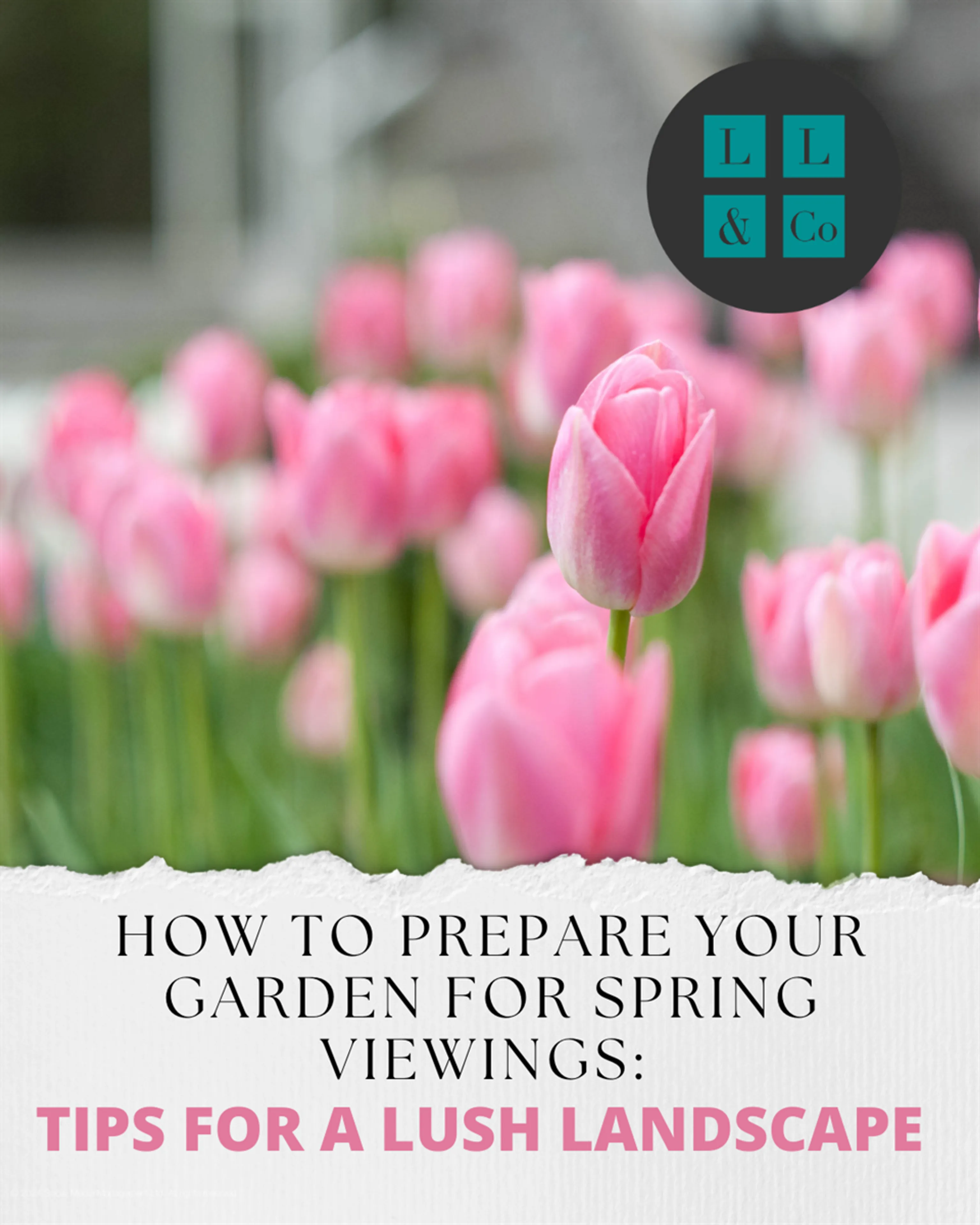 How to Prepare Your Garden for Spring Viewings: Tips for a Lush Landscape