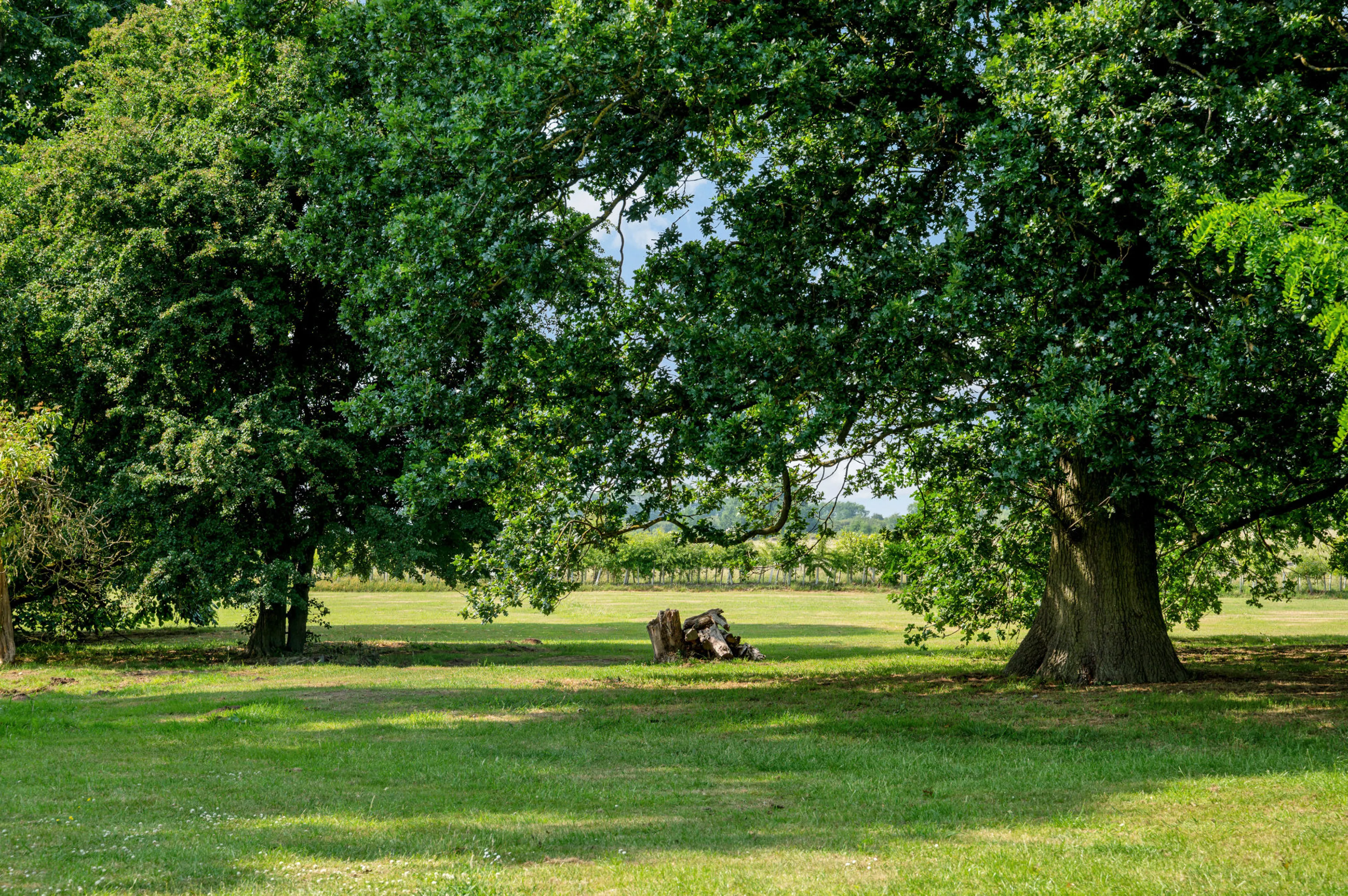 https://mr2.homeflow-assets.co.uk/files/media/image/0000/0000/40f60d811880ea7dabd48d802bdc9d27/Syerston-Hall-Park-Gable-End-Photos-4.jpg