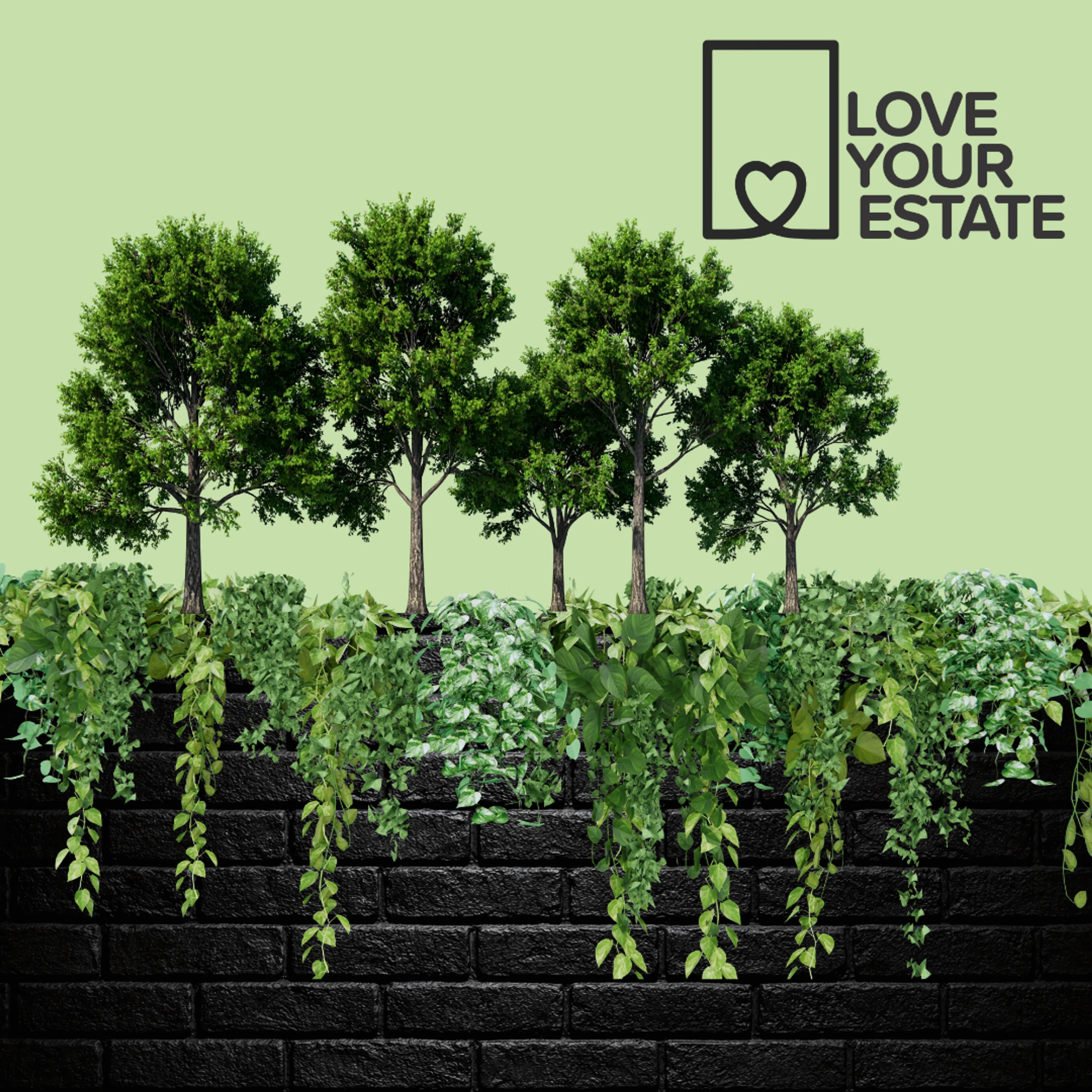 Who Owns That Tree? It Might Not Be Who You Think