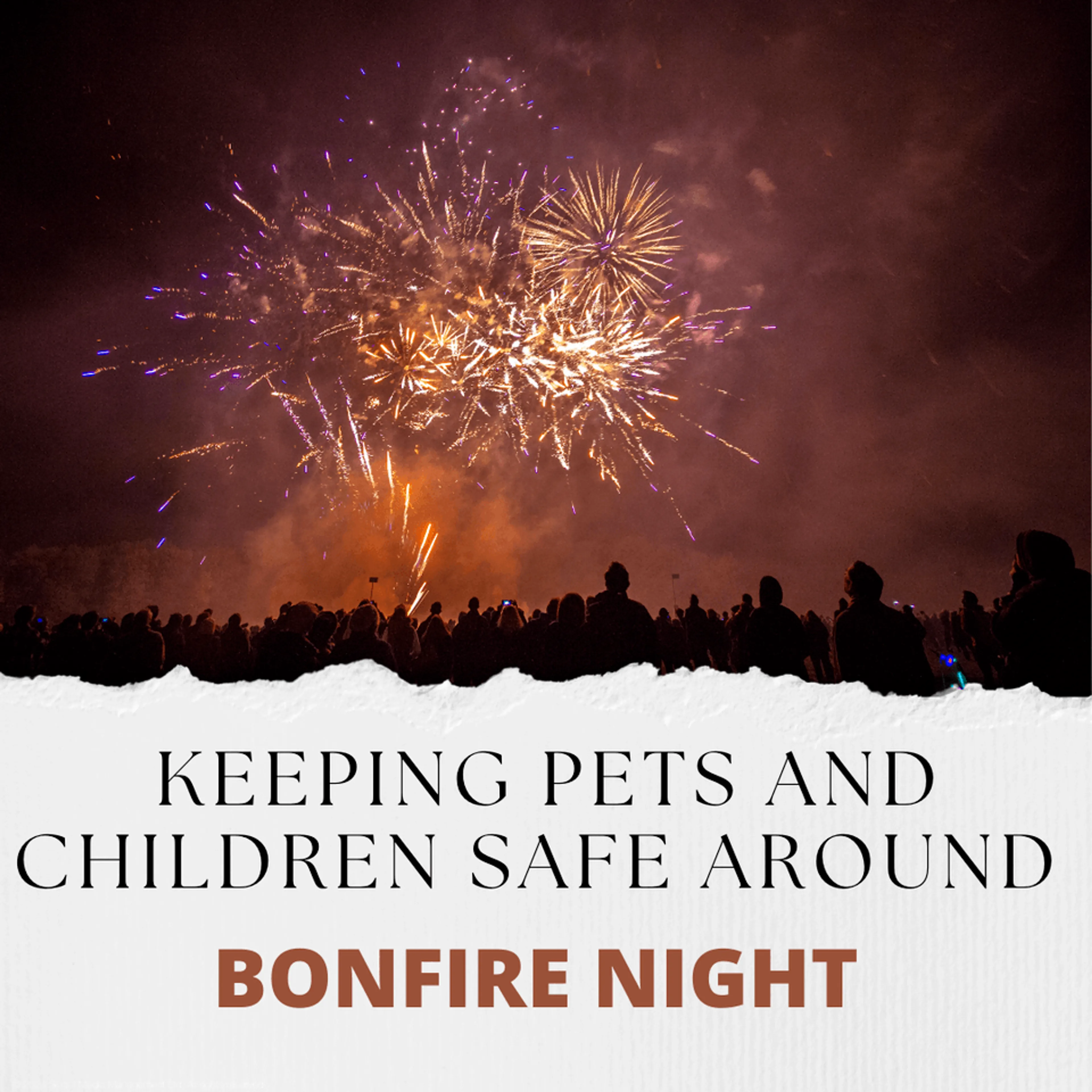 Keeping Pets and Children Safe around Bonfire Night in Stoke-on-Trent