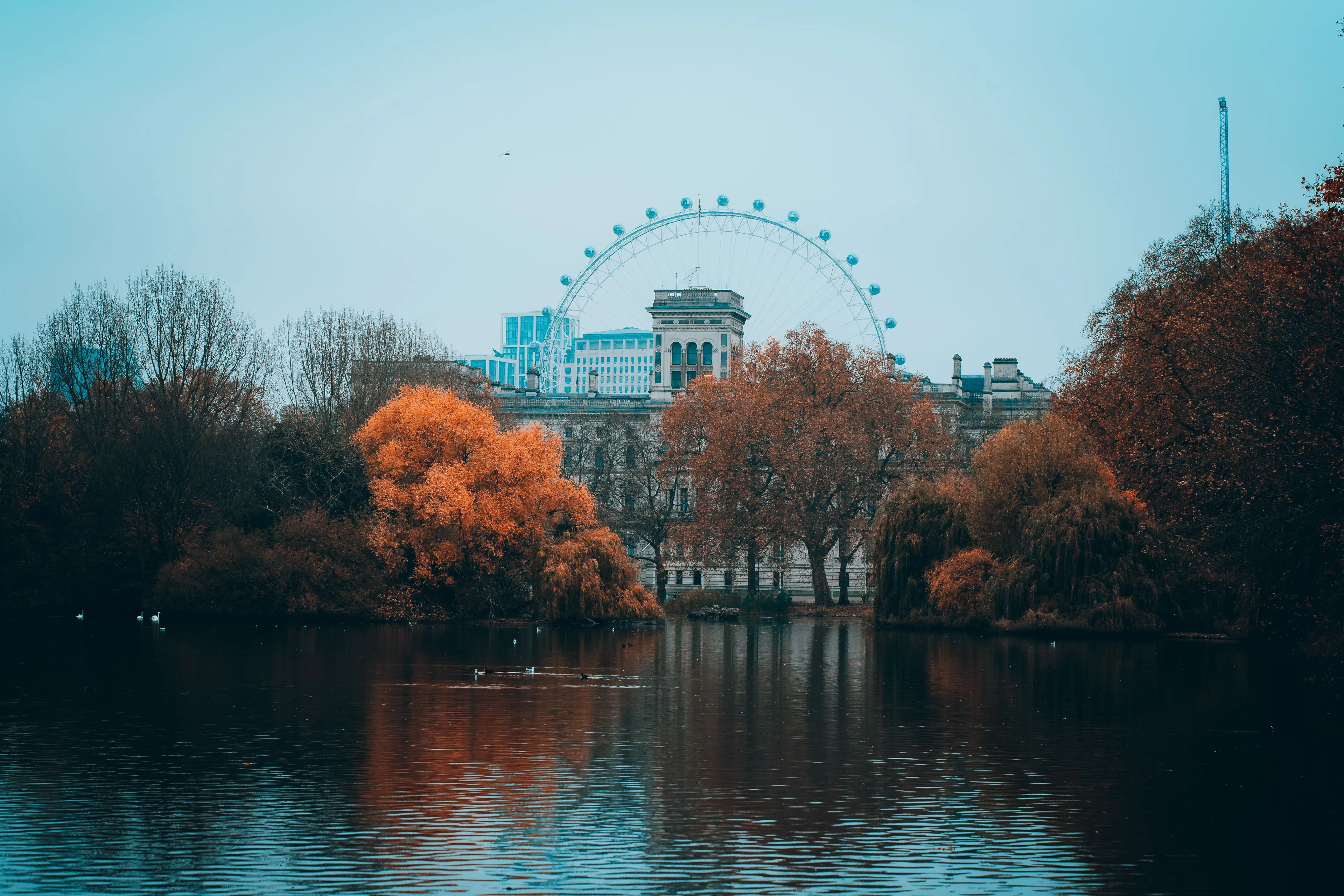 Chestertons quarterly report - autumn 2026