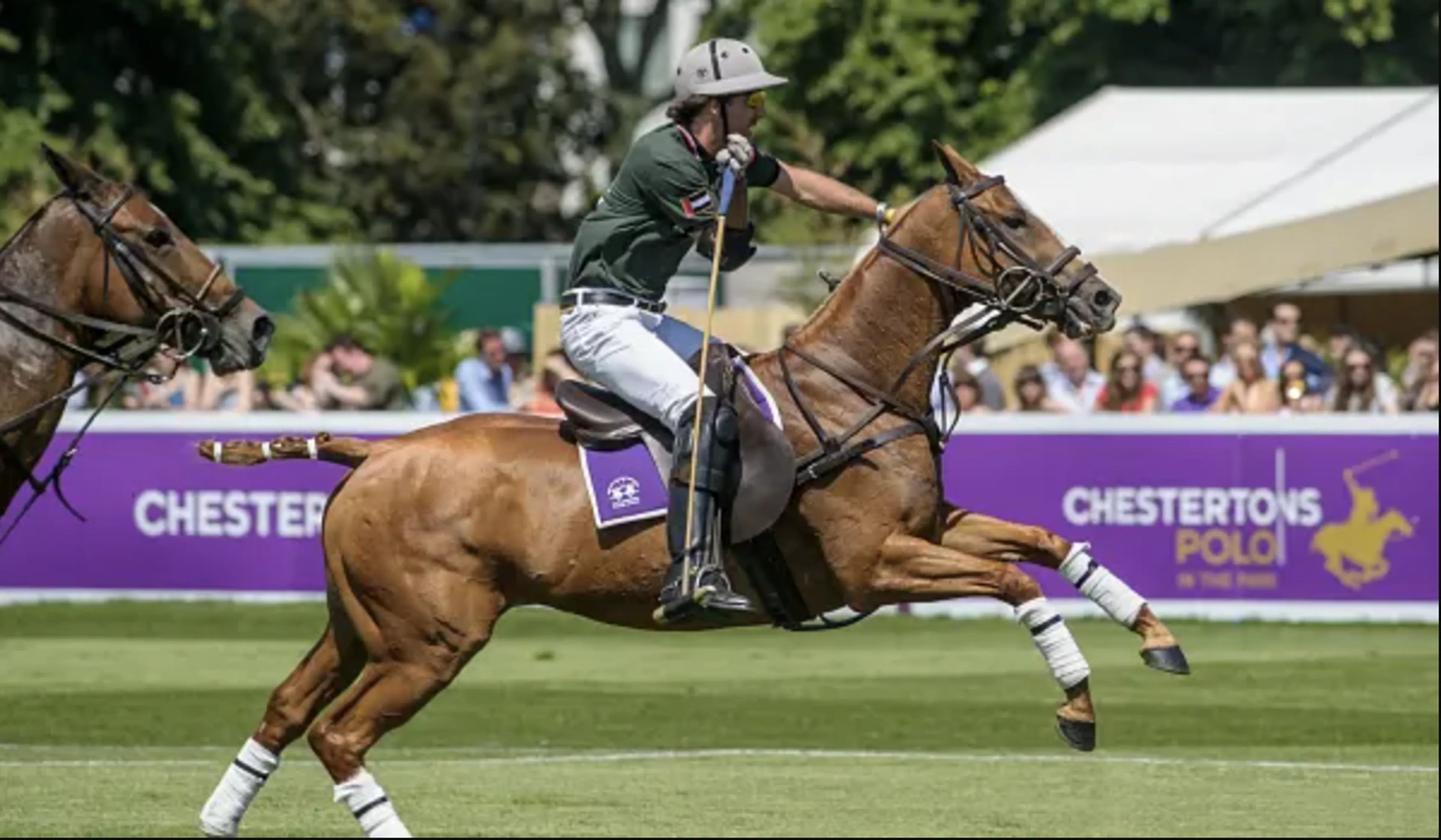 https://mr2.homeflow-assets.co.uk/files/media/image/0000/0000/c7bf3f7a82f6e29108a84c0ab4cd322a/chestertons-polo-in-the-park.png
