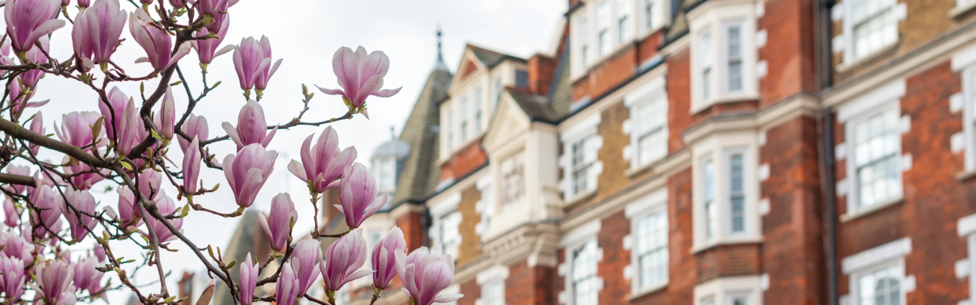 Renters Rights Bill: Key FAQs for Landlords and Tenants