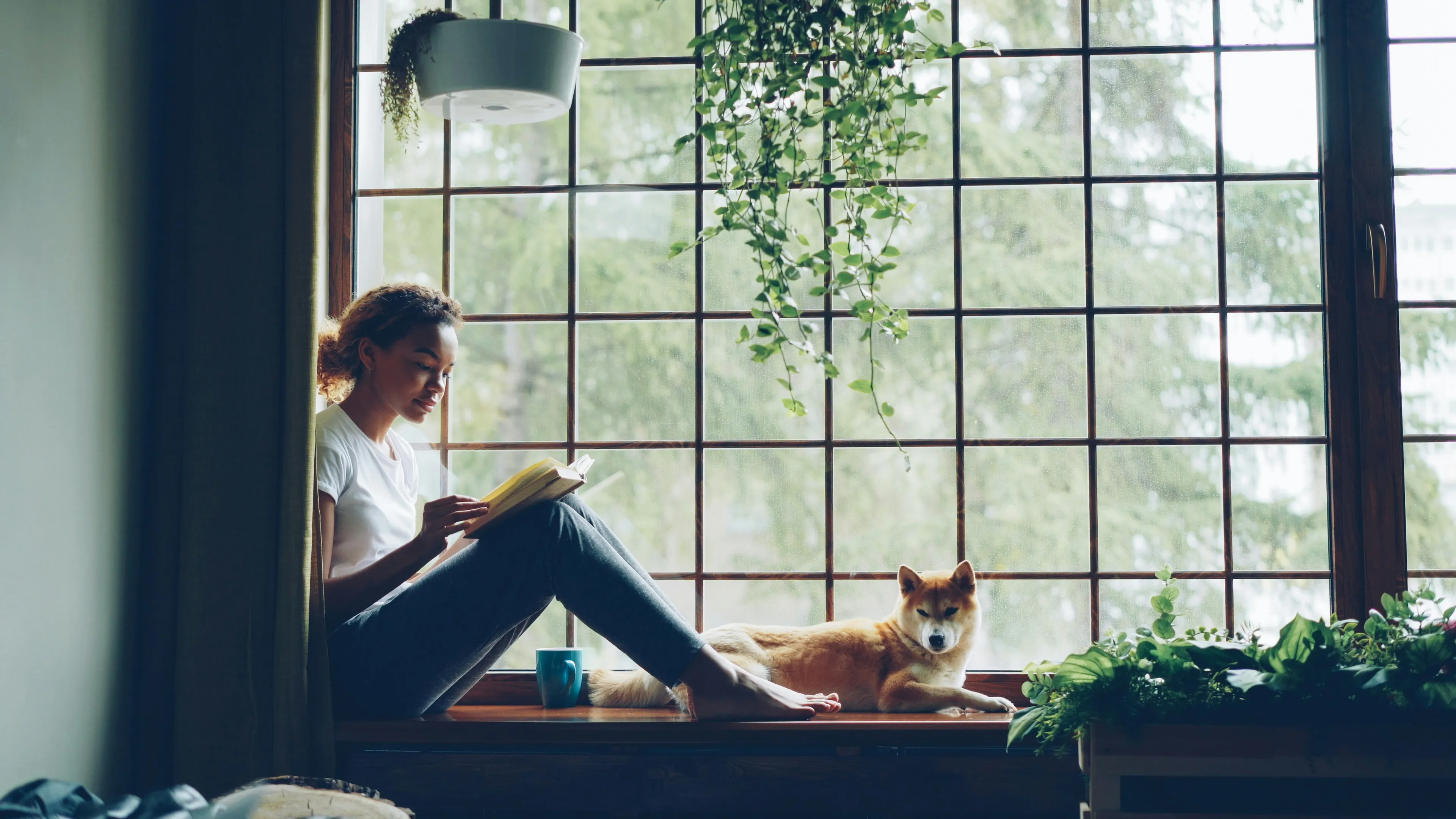 Monthly Lettings Report – May 2026
