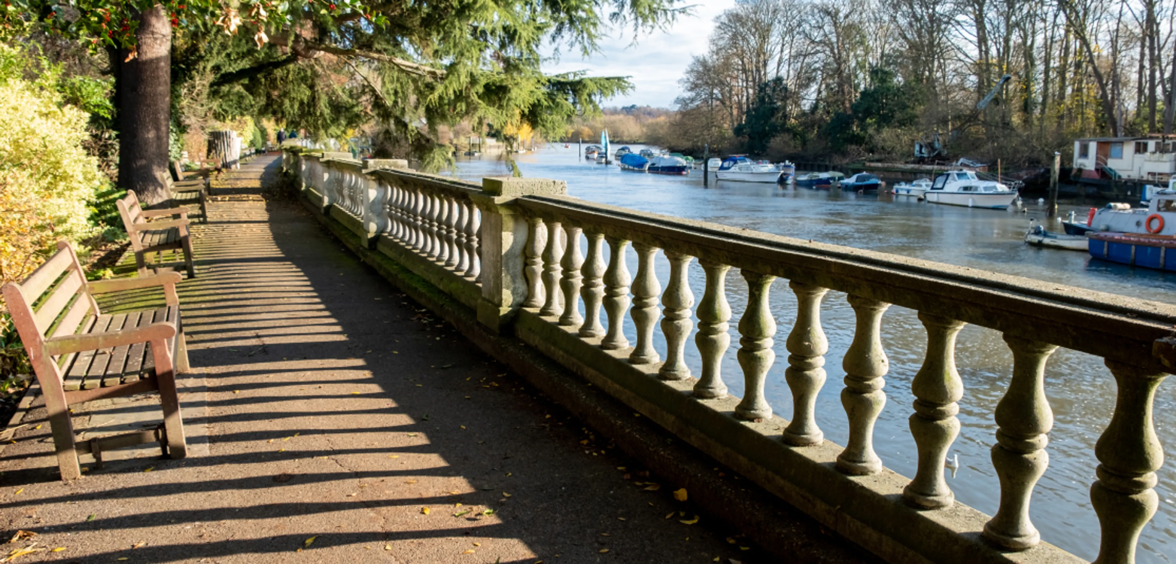 1115x535px-Barnes-2.jpg