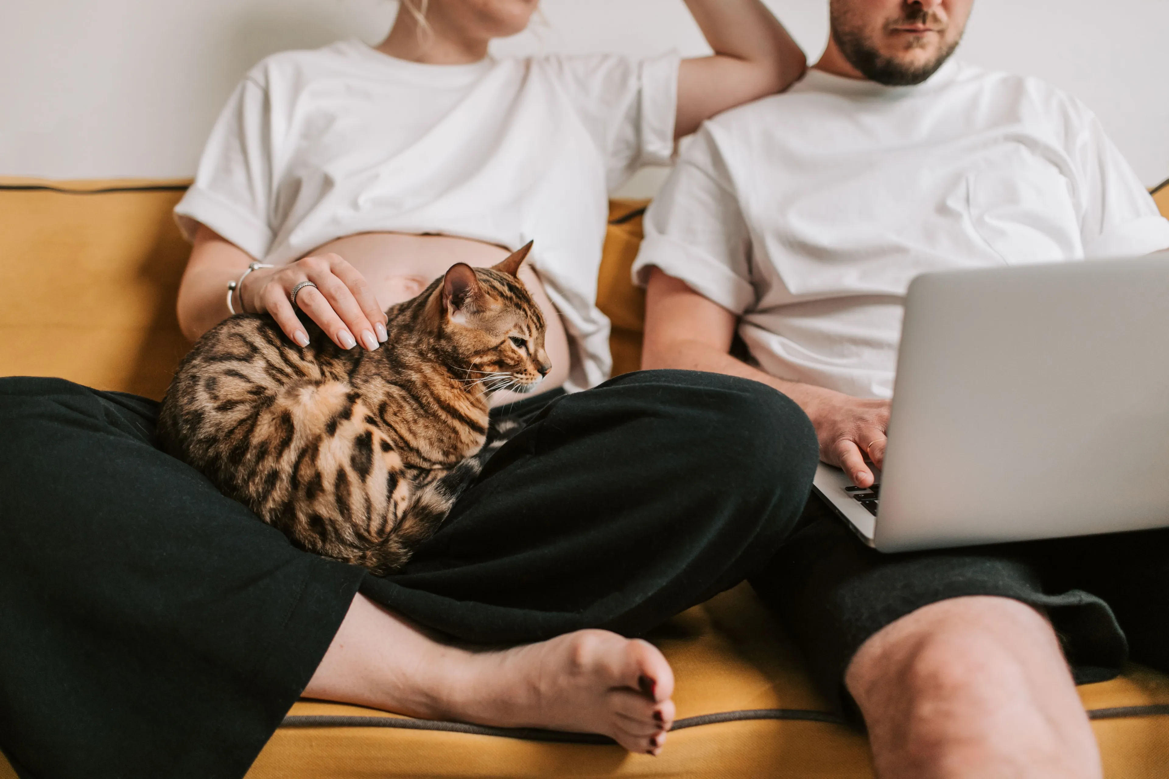 One in four landlords returns to lettings 