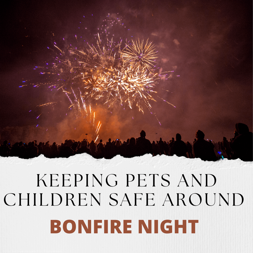 Keeping Pets and Children Safe around Bonfire Night in Stoke-on-Trent