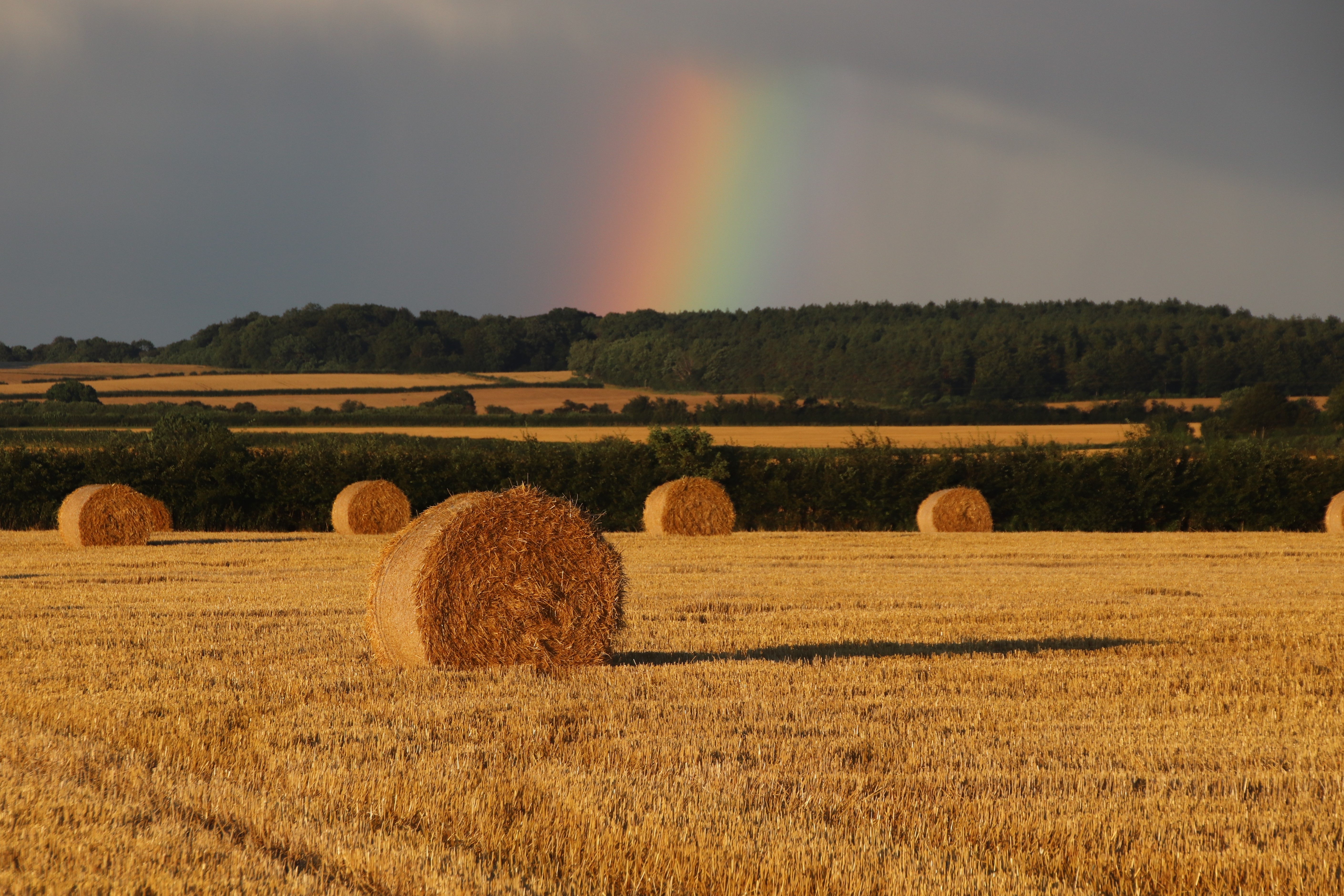https://mr2.homeflow-assets.co.uk/files/media/image/0000/0000/944cf61e6ddef926e0eb33418140d87b/round_bales.JPG