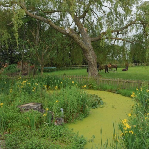 https://mr2.homeflow-assets.co.uk/files/media/image/0000/0000/a8a87f177a714478edb3f3433f243574/sonning-common.jpg