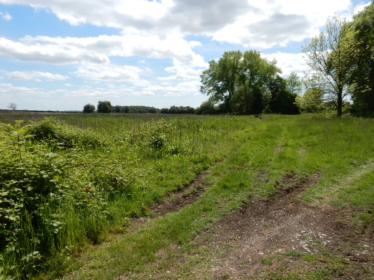 Woodland & Amenity Land, Bradmore Road, Wysall