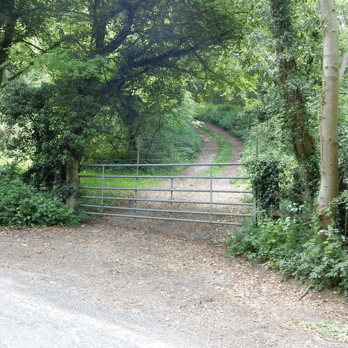 Woodland & Amenity Land, Bradmore Road, Wysall