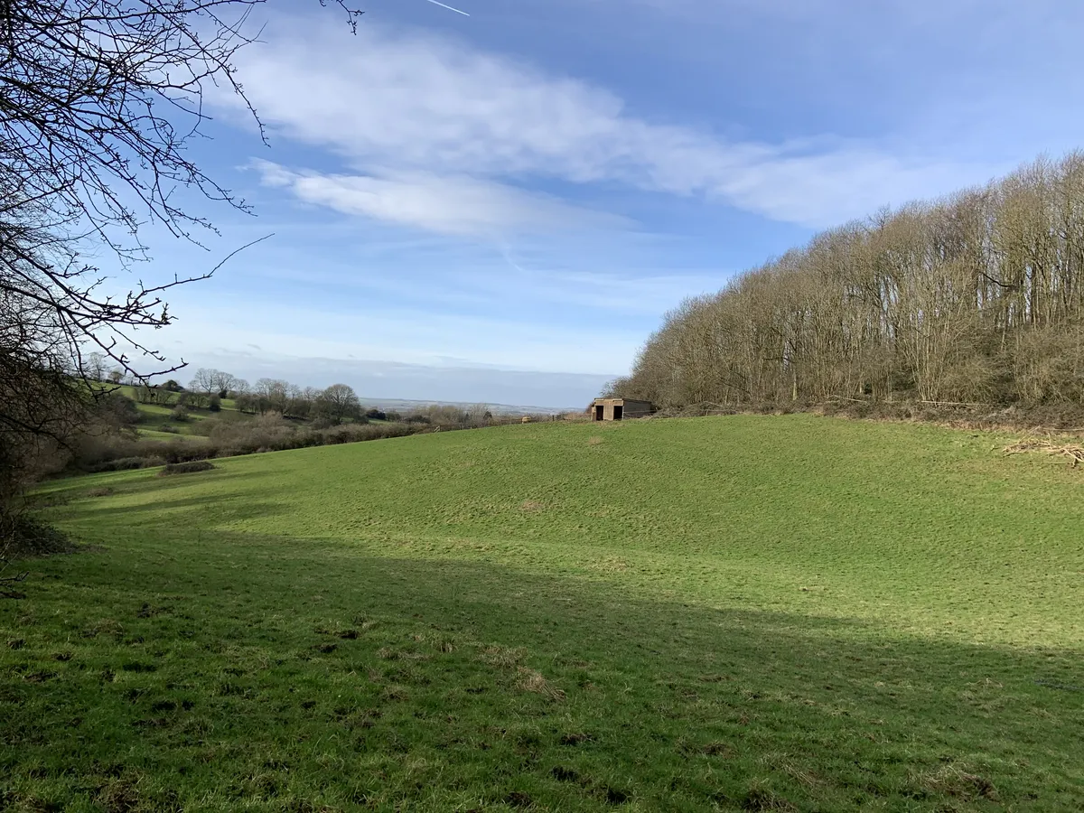 Tofts Hill, Stathern