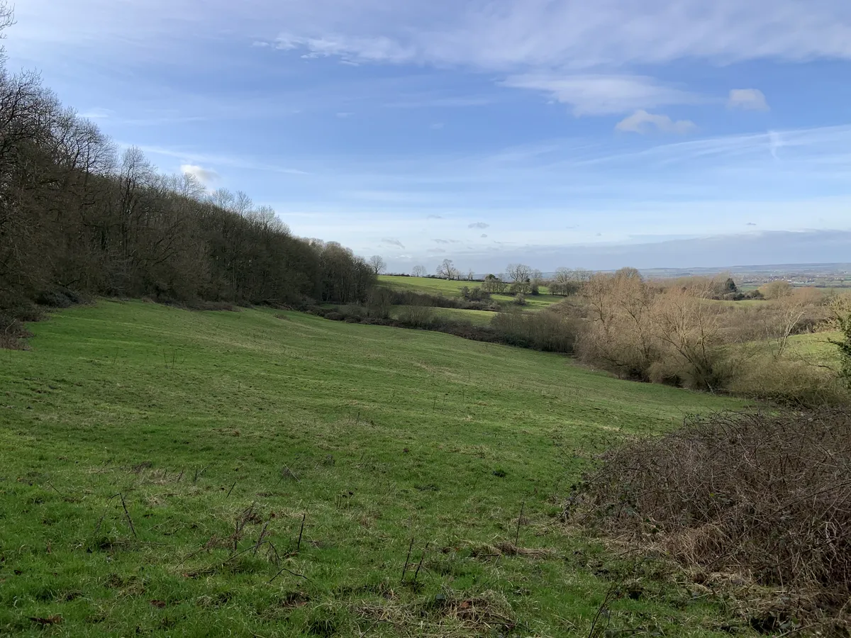 Tofts Hill, Stathern