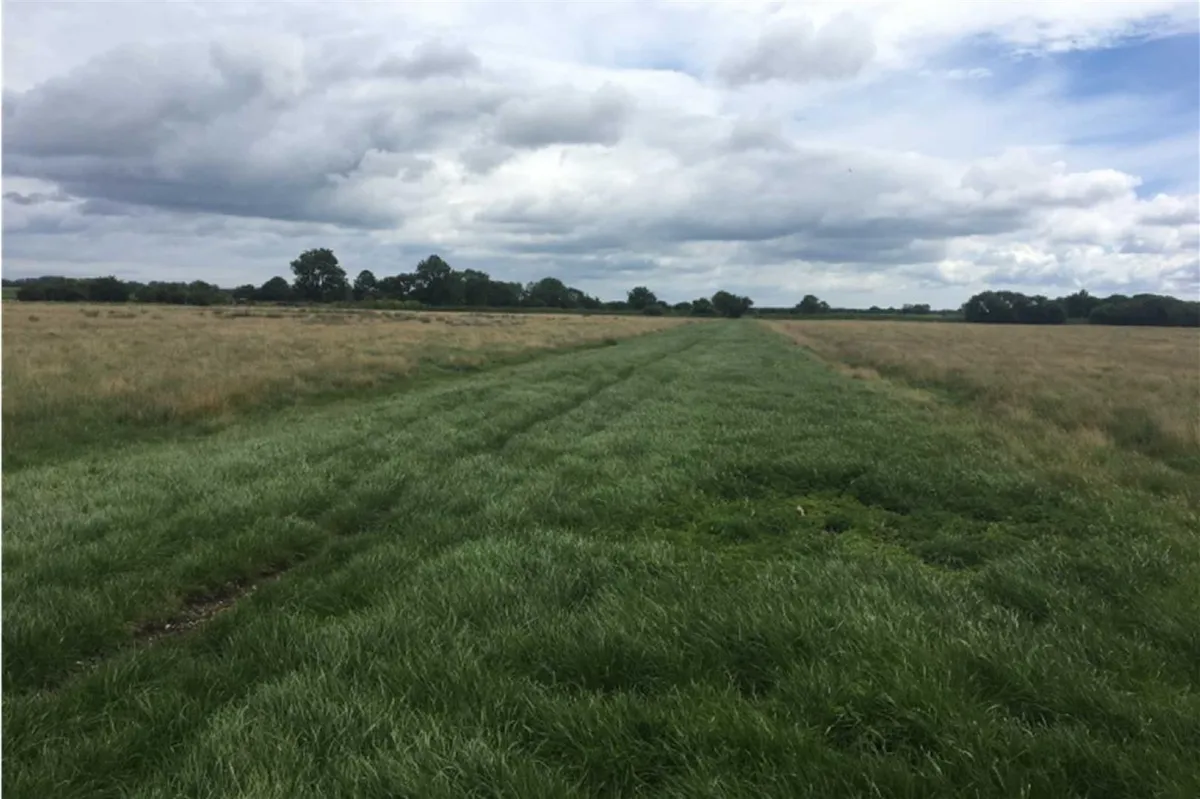 Flixton Carr Lane, Flixton
