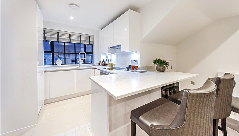 TWO BEDROOM PENTHOUSE  TO LET  RAINVILLE ROAD  FULHAM  W6 Image 3