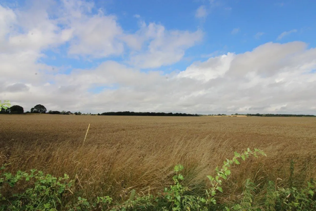 SOMERBY ROAD, PICKWELL