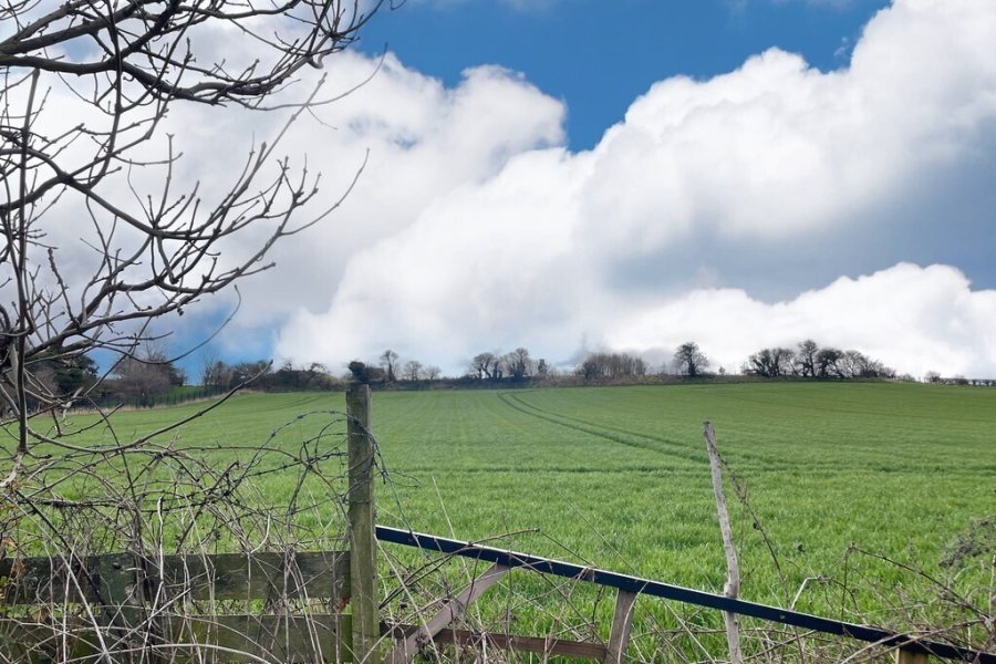 Alfred Pallas 3 bedroom property for sale in Dipe Lane, West Boldon