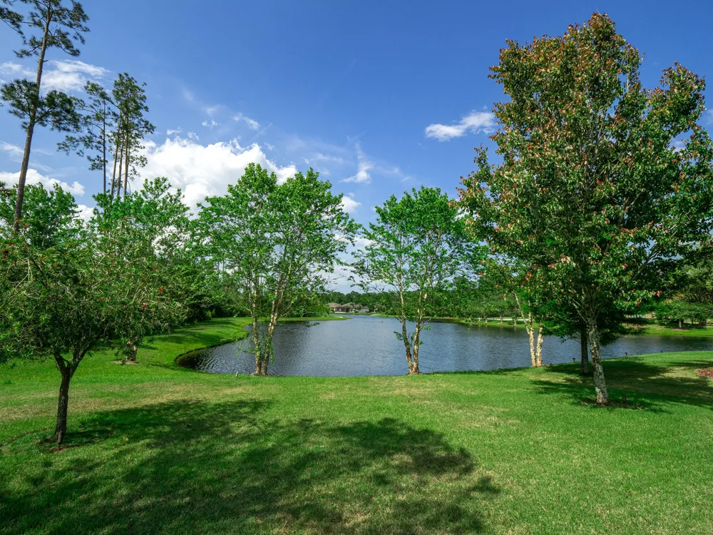 904 Wandering Woods Way, Ponte Vedra Beach, FL 32081