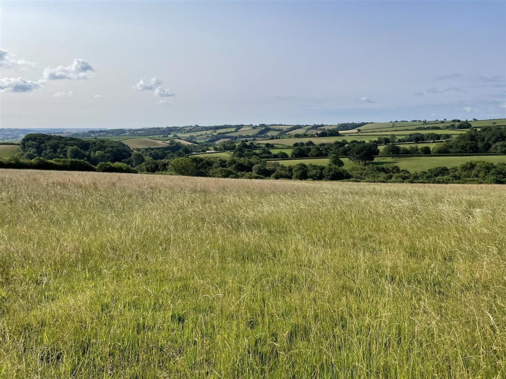 Stags property for sale in Loxbeare, Tiverton