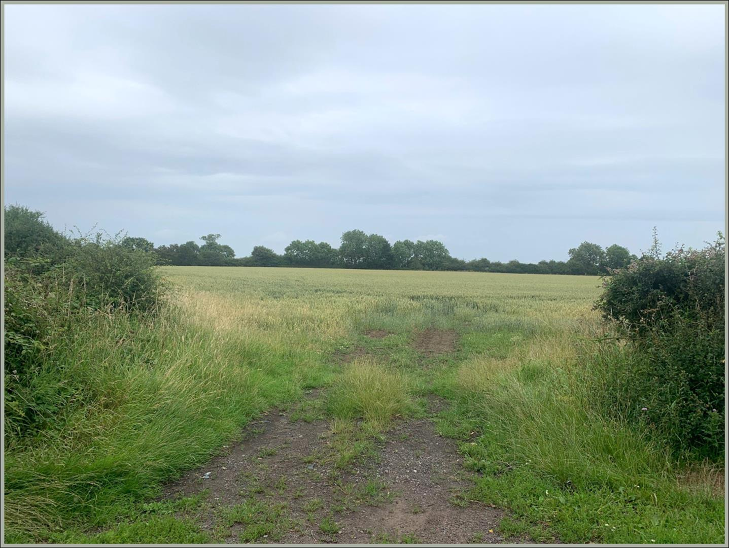 property for sale in 10.93 Acres of Land between Bubwith & North