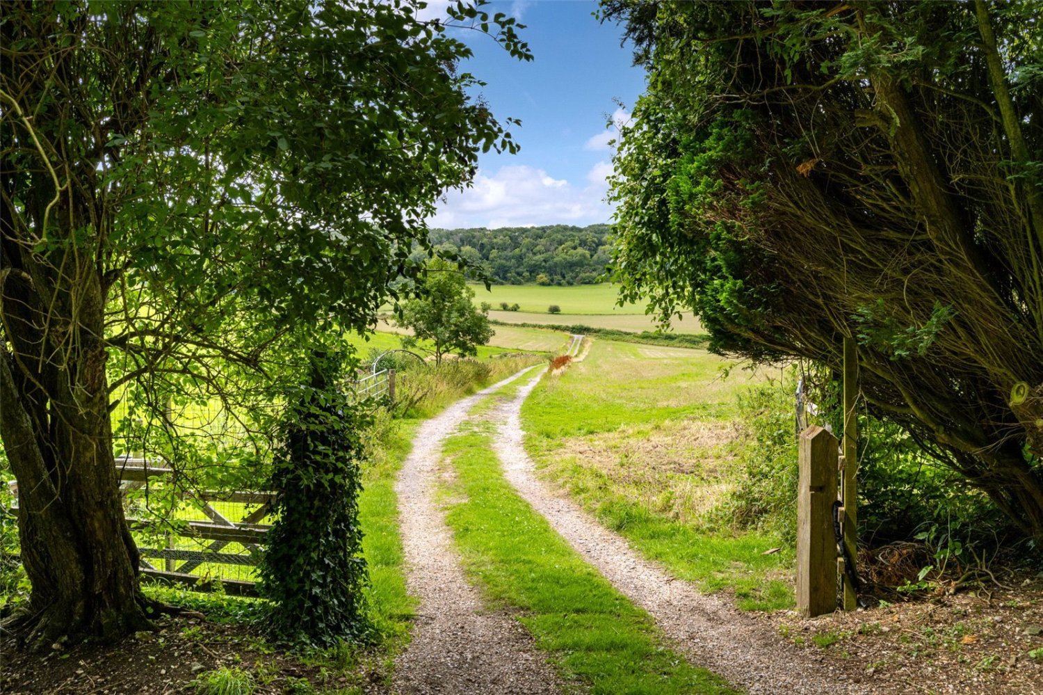 JacksonStops 6 bedroom property for sale in Milton Abbas, Blandford