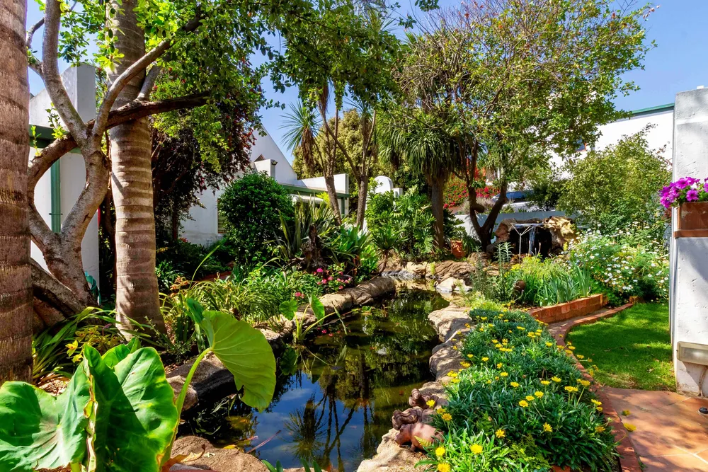 South Africa, Gauteng, Darrenwood