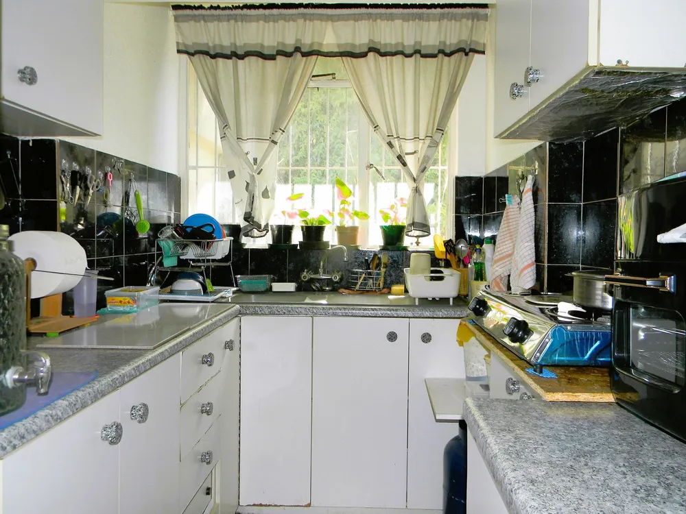 South Africa, Western Cape, Vasco Estate
