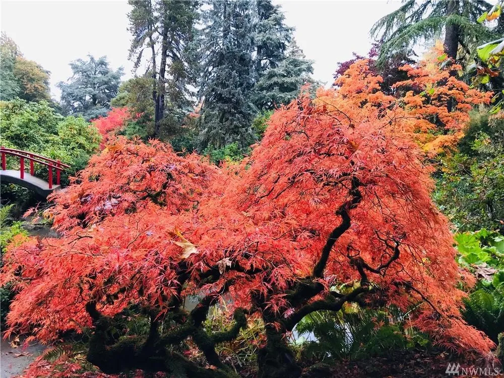 5130 S Garden Loop Rd, Seattle, WA 98118