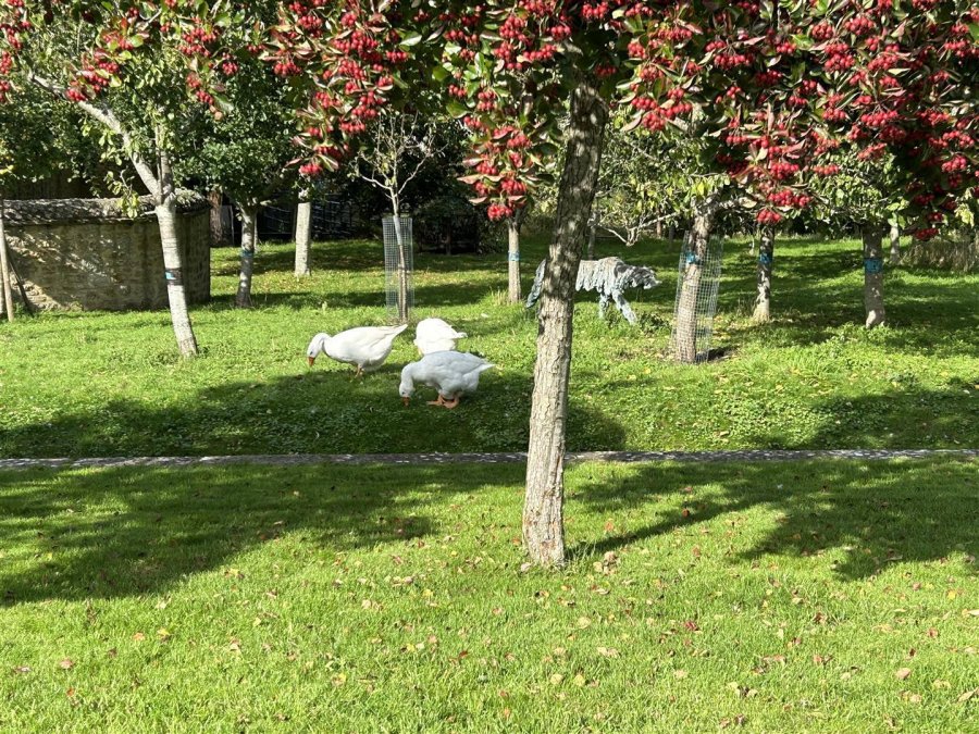 Stags 1 bedroom property to let in Road, Beaminster