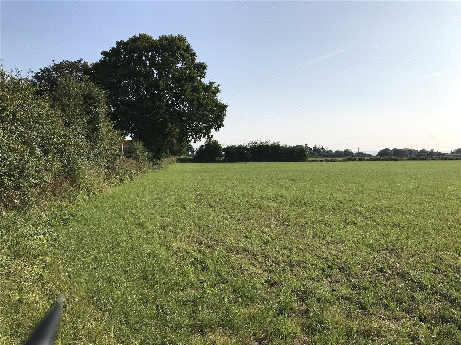 Bridgwater, Somerset, TA7