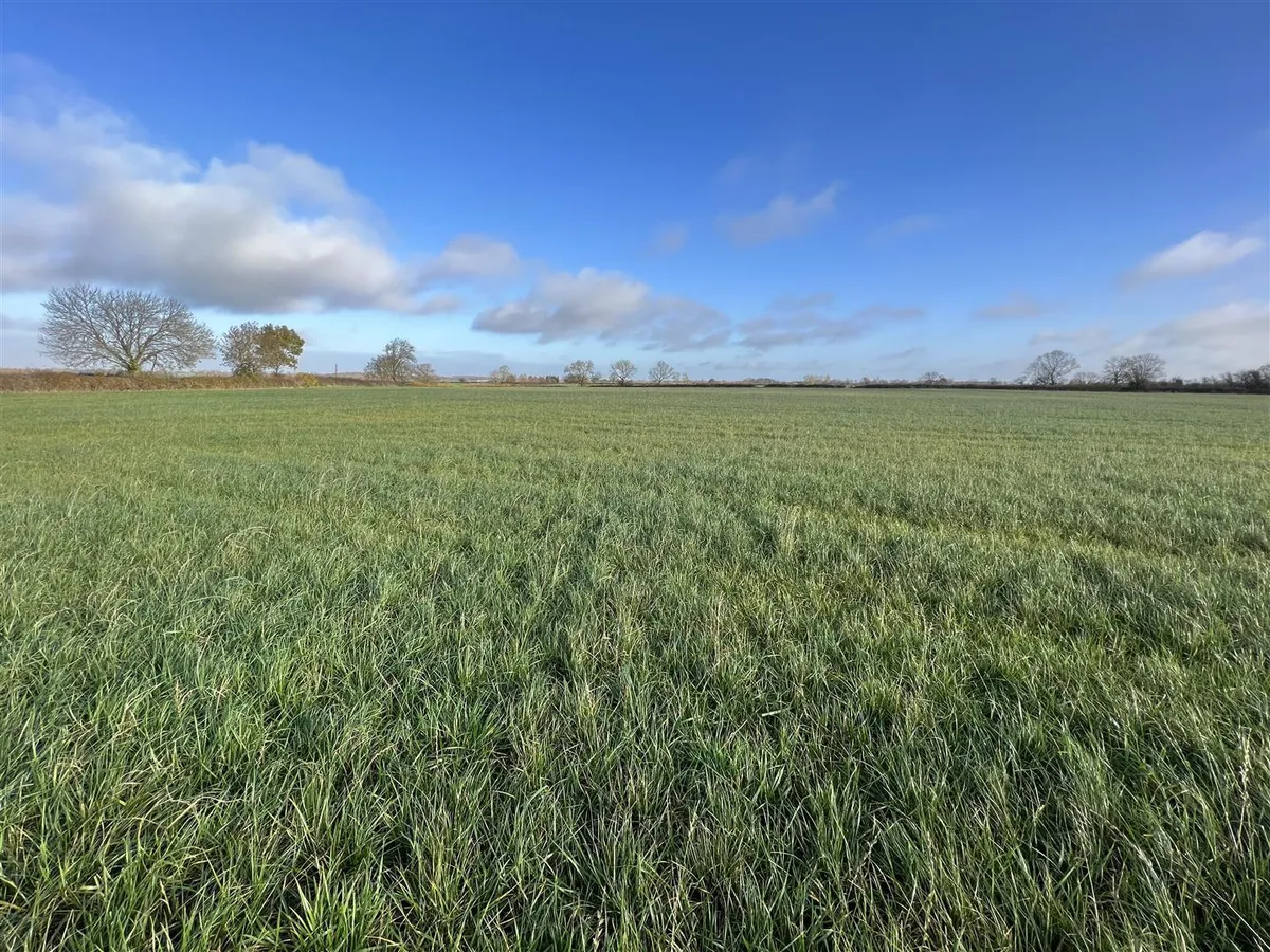Widmerpool Lane, Willoughby On The Wolds, Loughborough