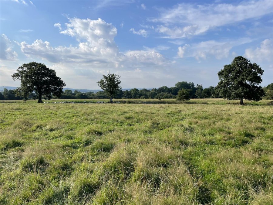 Stags property for sale in Poughill, Crediton