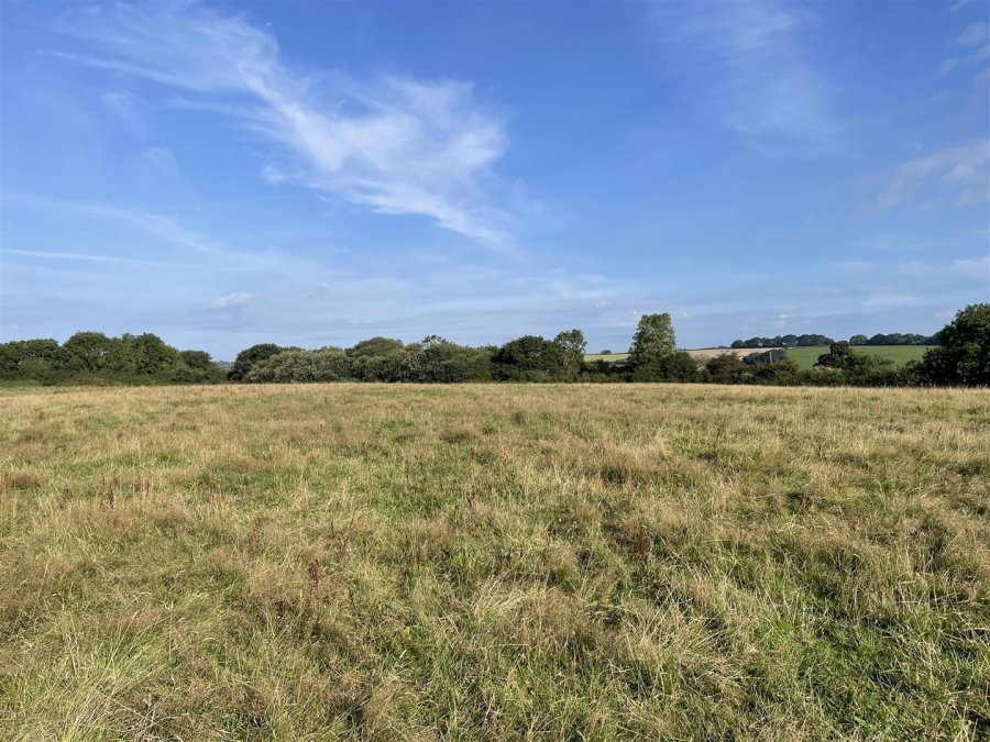 Stags property for sale in Poughill, Crediton