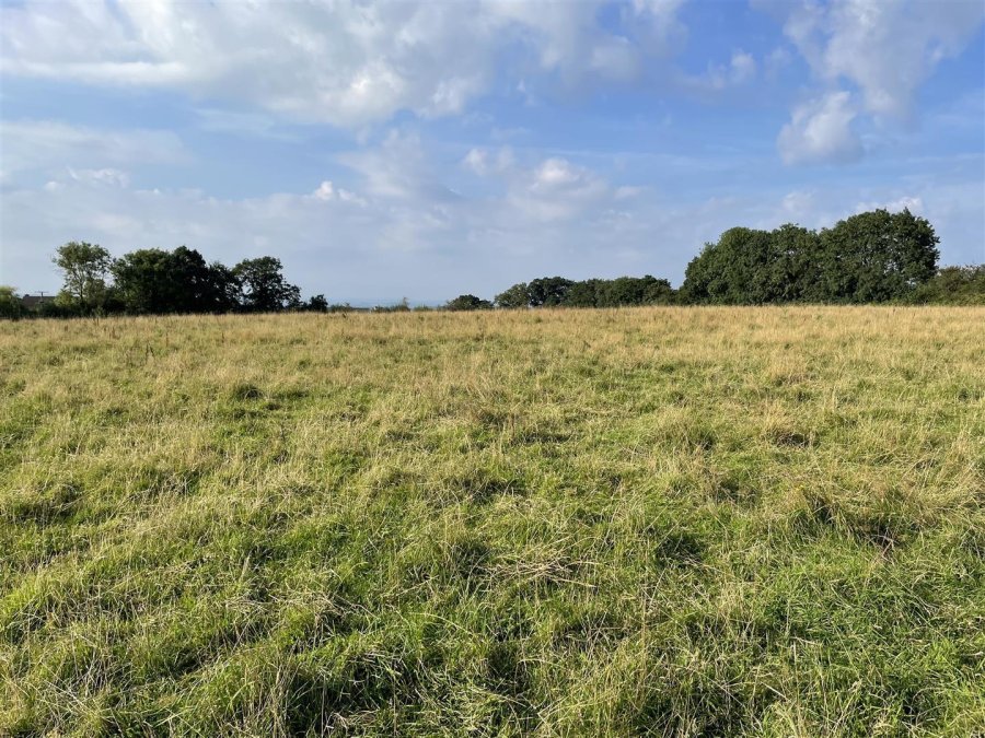 Stags property for sale in Poughill, Crediton