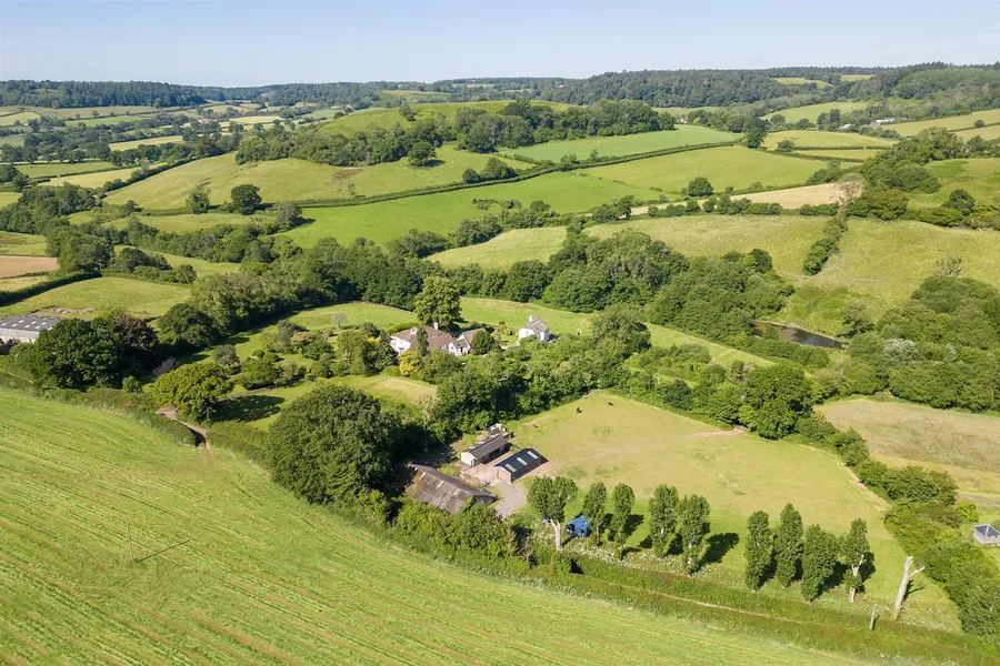 Property Image 44