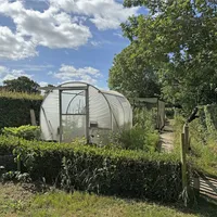 Property 29