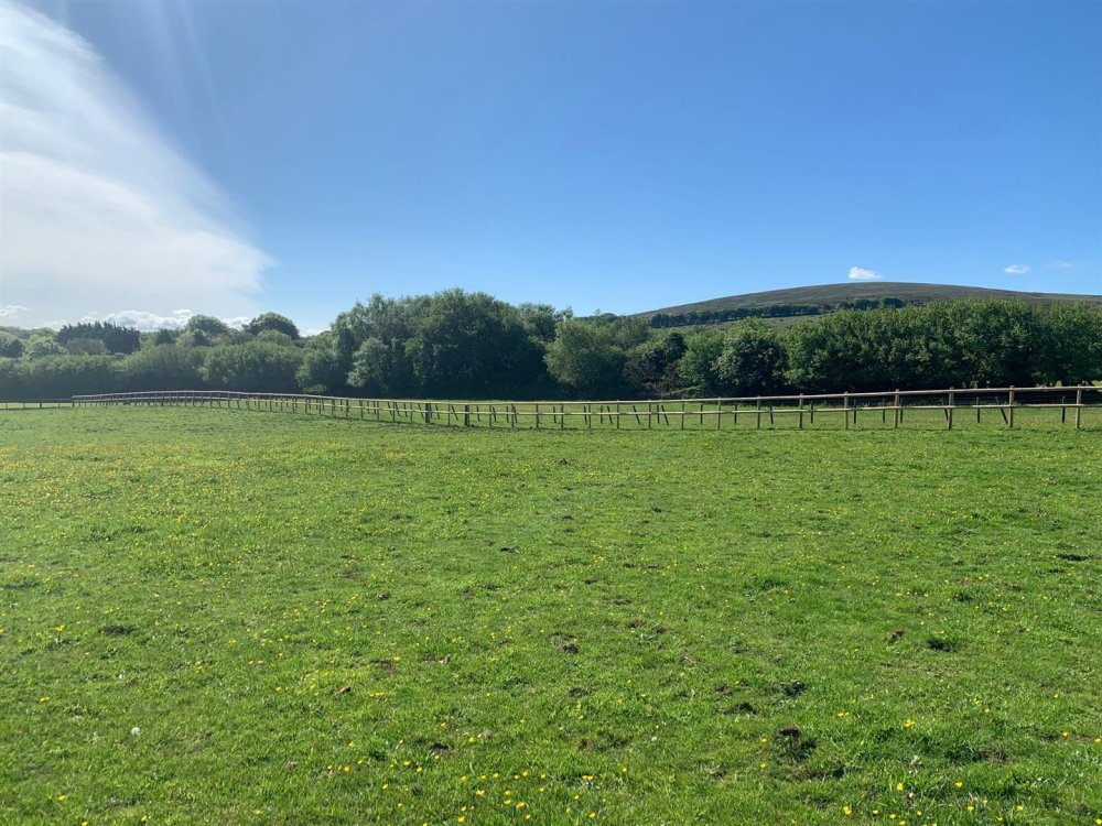 Stags property for sale in Sticklepath, Okehampton