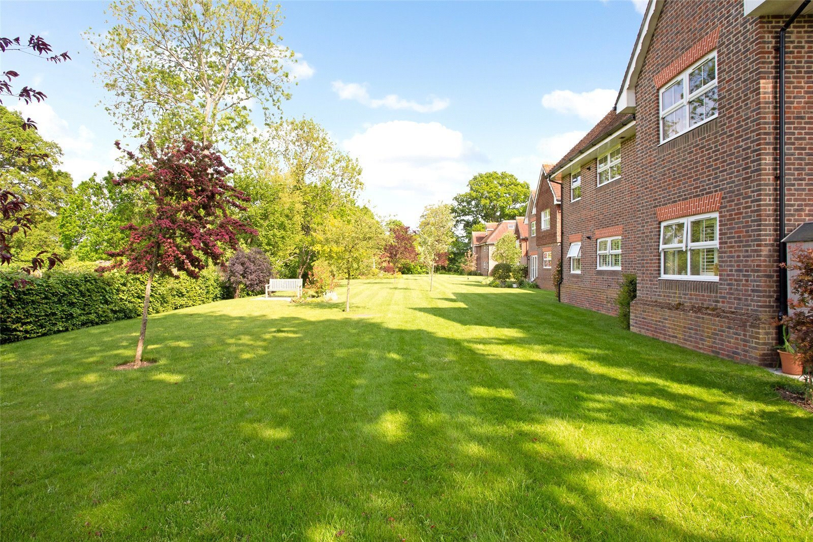 Farnham Road, Liss, Hampshire, GU33 Image 11